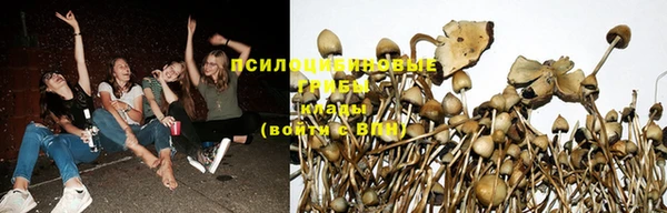синтетический гашиш Козельск