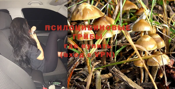 прущая мука Козловка