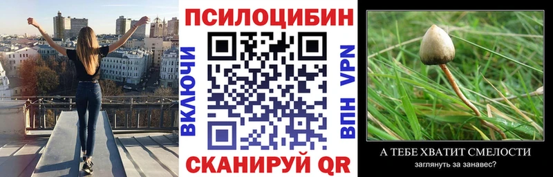 Купить где  Кызыл  Галлюциногенные грибы Cubensis 